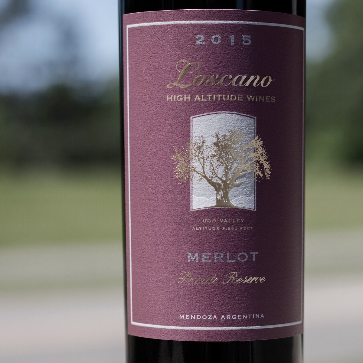 Loscano Wines tweet media