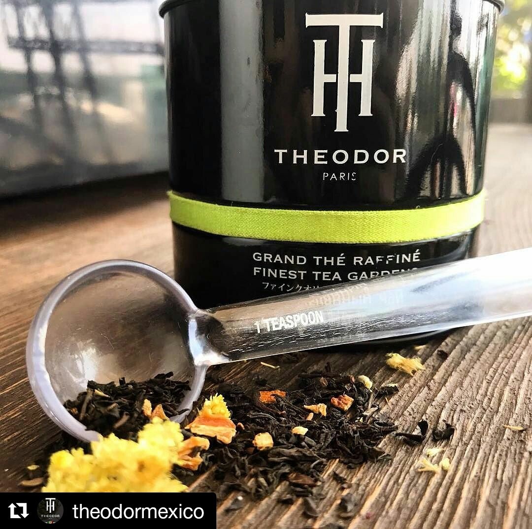 Theodor México tweet media