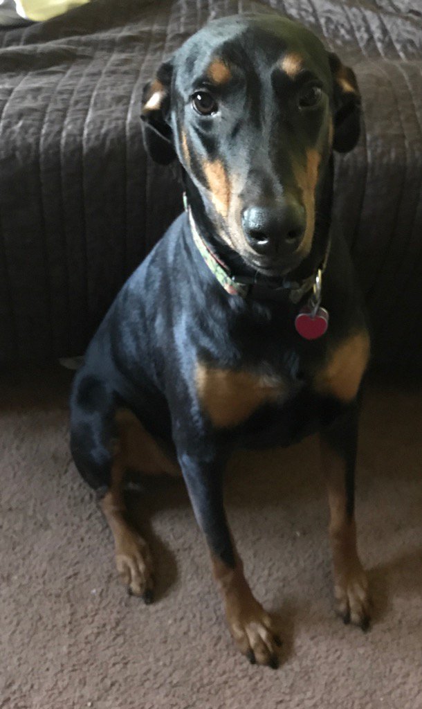 Bob Stagner tweet media