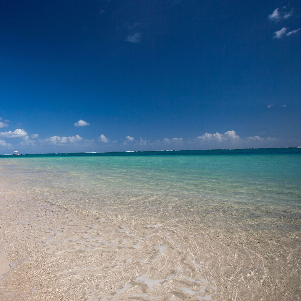 motizilemaurice's tweet photo. L'eau turquoise de Trou aux Biches ! Qui dit mieux ? :-) #ilemaurice #mauriitus #motizil https://t.co/aj8VdQ8W41 https://t.co/SRGou8dV26