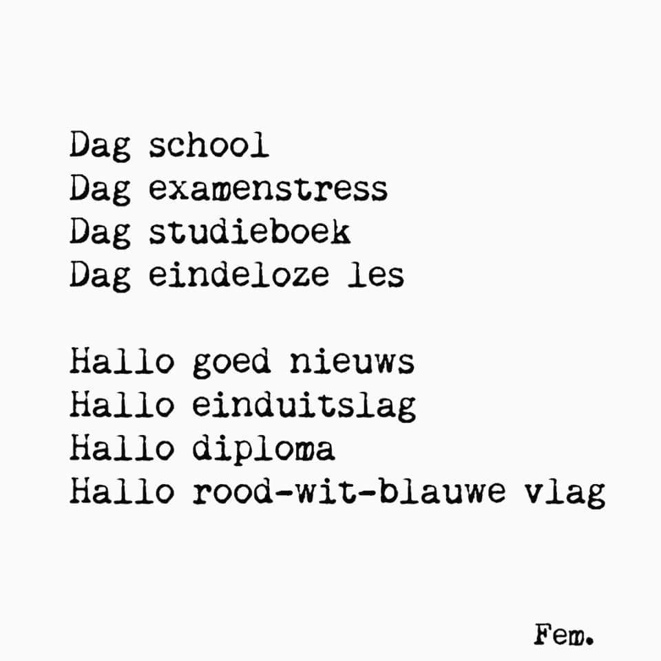 Wij feliciteren alle geslaagden van VAVO Breda en Roosendaal!