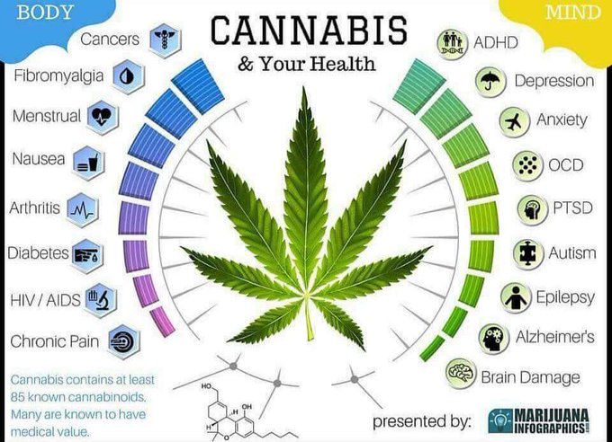 How many of my #JenHeads R aware of all the health benefits of #CBDoil ? Email me 4 some #LifeChanging<a href="/tag/jenheads"class="tags">#JenHeads</a><a href="/tag/lifechanging"class="tags"><span>#lifechanging</span></a><a href="/tag/cbdoil"class="tags"><span>#cbdoil</span></a>