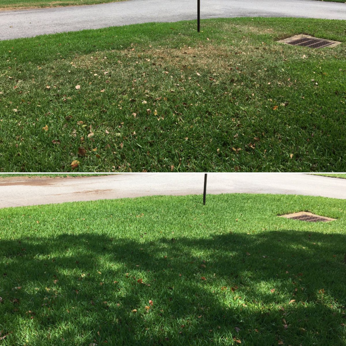 shellsfeed's tweet photo. Today's afternoon shower could be keeping your grass greener for longer if you'd applied #Hydretain yesterday. #ShellsFeed https://t.co/f4L2xgdA7Y