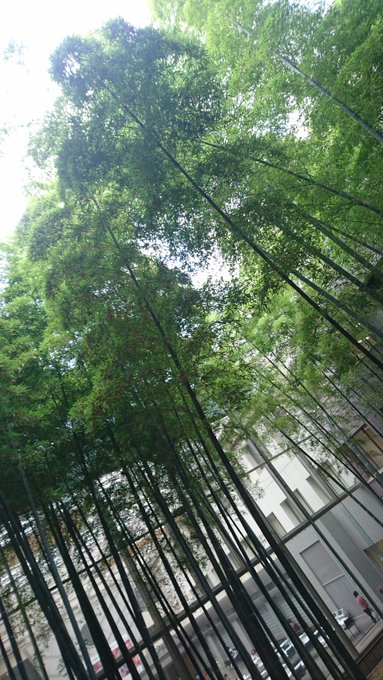 吉田なつきさん がハッシュタグ 9号館 をつけたツイート一覧 1 Whotwi グラフィカルtwitter分析 吉田なつきさん がハッシュタグ 9号館 をつけたツイート一覧 1 Whotwi グラフィカルtwitter分析