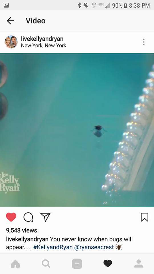 mchaney512's tweet photo. @LiveKellyRyan Thanks for liking my comment. @KellyRipa @RyanSeacrest Love y'all!!! Watch the show every morning!! ❤🕷😂 https://t.co/6RFFNyrvNp