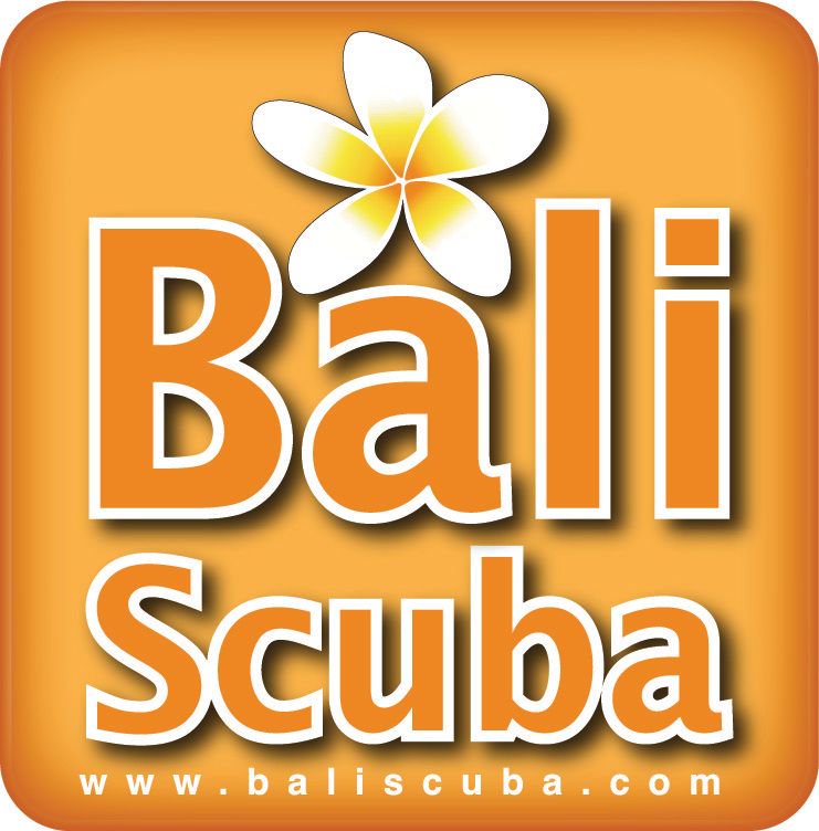 RoleFoundation's tweet photo. Bali Scuba is joining Clean Oceans Diveathon! #BaliScuba #ROLEFoundation #CleanOceansDiveathon #WatermansWeek #ZeroOceanWaste https://t.co/UPZpCFGhbC