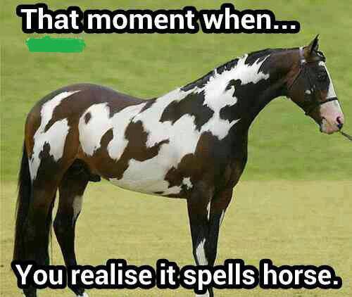 GlovesDriving's tweet image. Whoa!