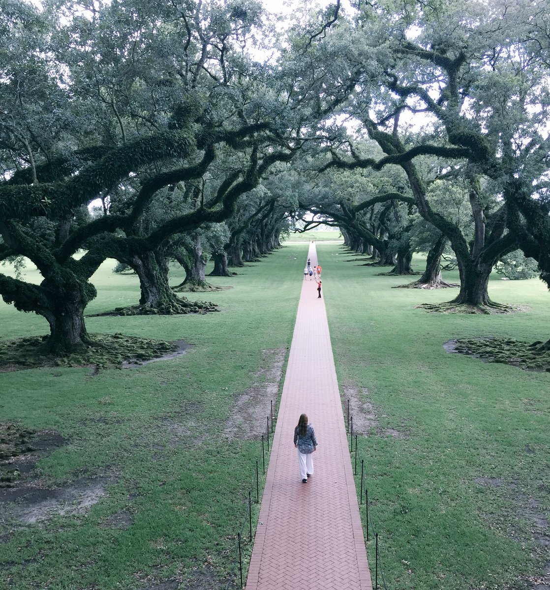 insidetravellab's tweet photo. Goodbye Louisiana... it's been an amazing experience. Hard drives full, editing to follow... Stay tuned! #DriveLsa #HertzTrip https://t.co/RivKFttf1a