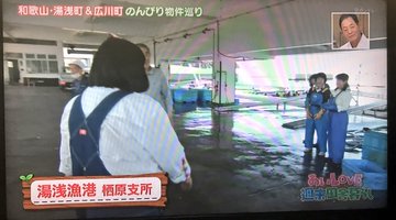 自然豊かな歴史と伝統のまち湯浅町を巡る 湯浅町