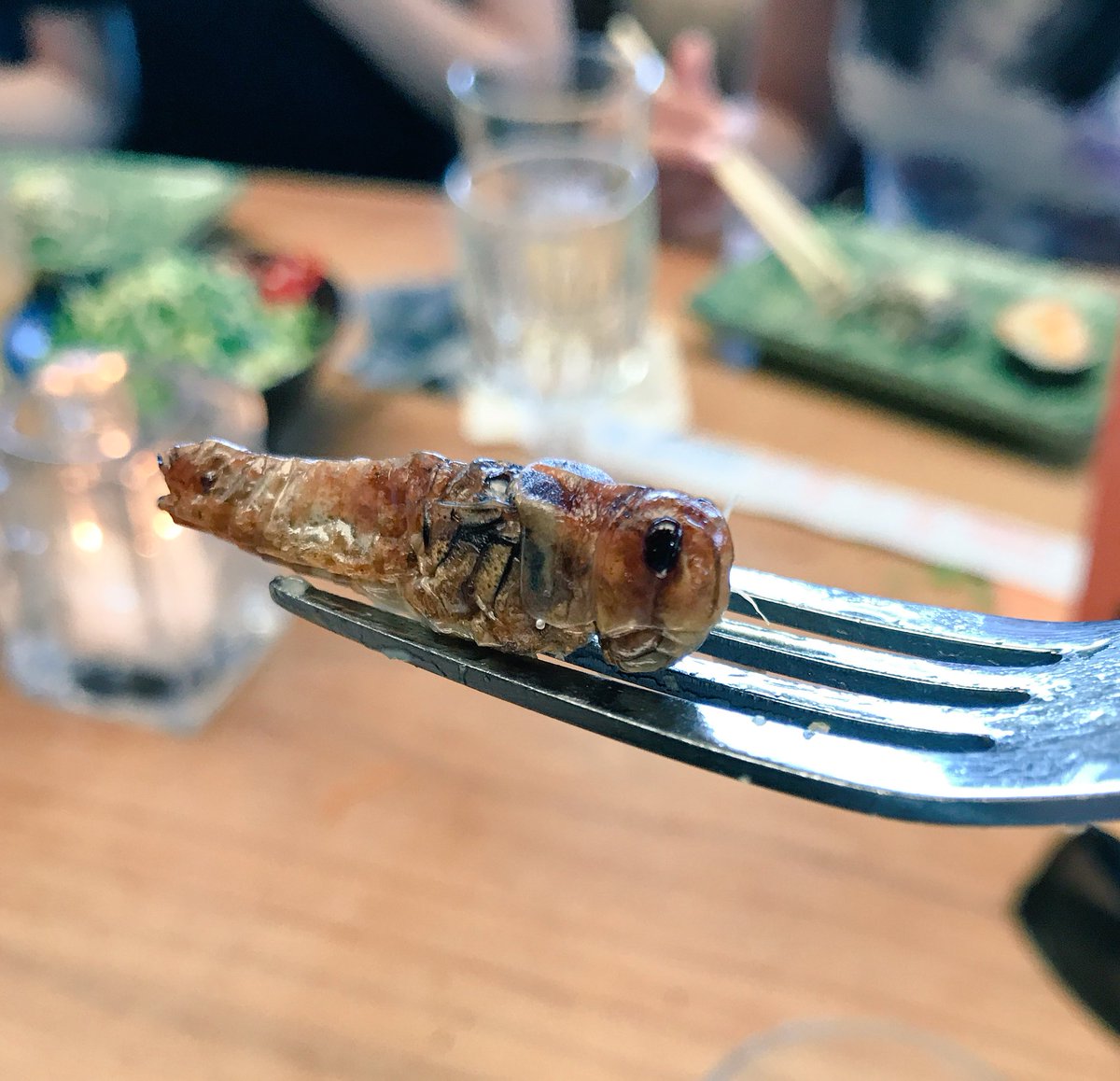 kmschaffer's tweet image. ☑️ Eat a bug