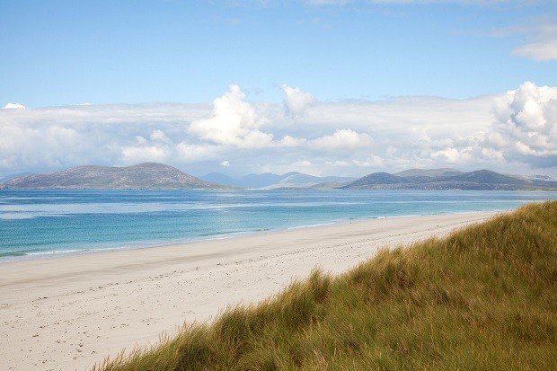 Wild Guide Scotland (@wildguidesco) on Twitter photo Wild Guide Scotland is <a href="/Waterstones/">Waterstones</a> Scottish book of the month! waterstones.com/blog/wild-guid… Wild Guide Scotland is <a href="/Waterstones/">Waterstones</a> Scottish book of the month! waterstones.com/blog/wild-guid…