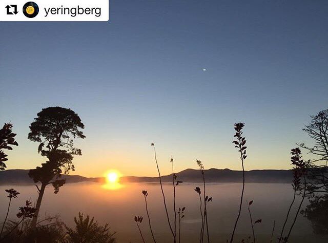 CellarHand's tweet photo. Sunrise at #Yeringberg. Taste @sdepury's wines at CellarHand Trade Day on Tues 1 August, &amp; see the light. RSVP https://t.co/bYriTzkpfO https://t.co/IhCfgpKCPD