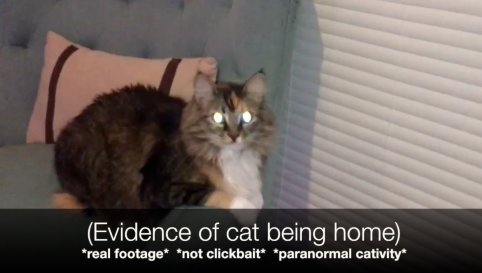 JaclynGlenn's tweet photo. OMG YOU GUYS!!! 😱 You'll never believe what happened to me! Find out at https://t.co/KSRN9x9Pvg #ParanormalCativity https://t.co/StkLRnqYqE