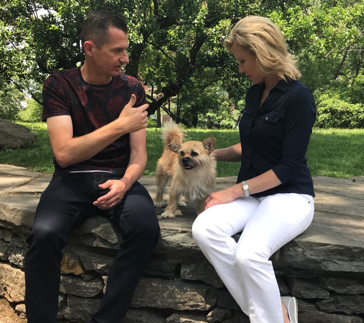 carolinethau8's tweet photo. Couldn't keep my hands off the ultimate rescue pup Gobi in NYC today. Her amazing journey finding her forever home. Coming up @PetPalsTV https://t.co/fsIOtGuKJd
