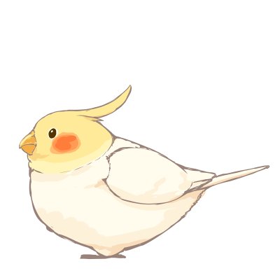 「オウムとインコの日」のTwitter画像/イラスト(新着))