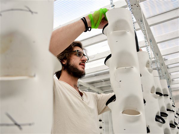 Urbanleaf_Coop's tweet photo. Aquaponics lab debuts Downtown as urban farming project https://t.co/YDnNuycn5Q https://t.co/6hHVXnmQcz