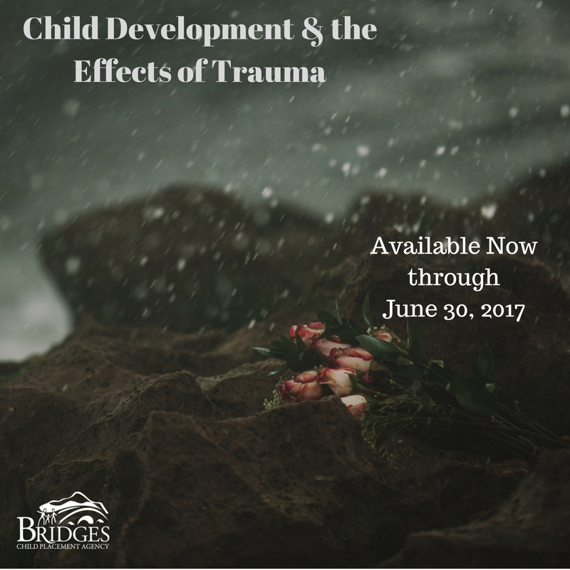 Bridges CPA (@Bridges_CPA) / Posts / X