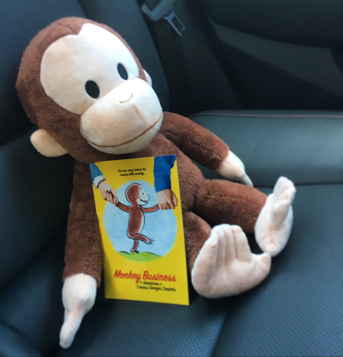 Curious George Doc tweet media