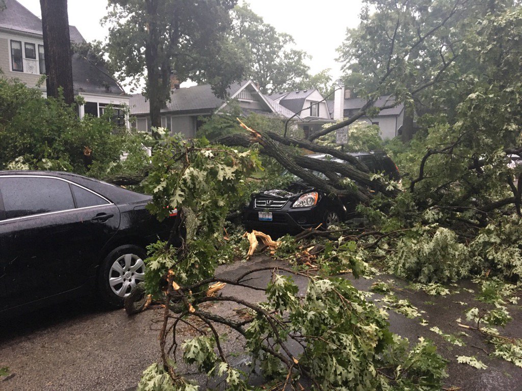 Evanston, IL Police on Twitter "Multiple trees down in the 2100 block