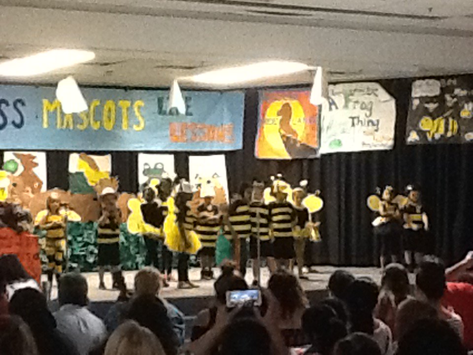 LortonStationES's tweet photo. Mrs. Boyd's Class is retelling The Bee Movie. #LSESPics https://t.co/Jc55BkPcae