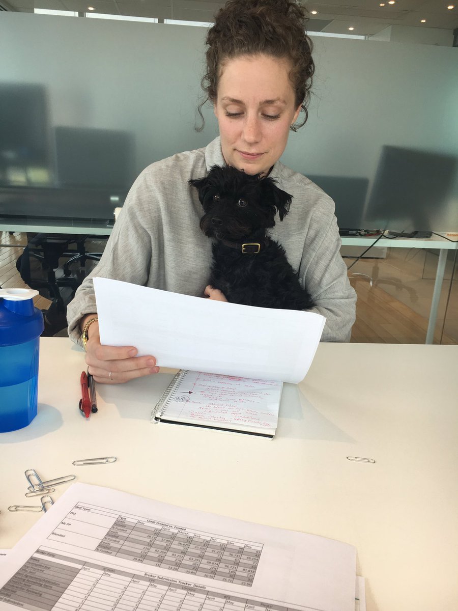 merchant_growth's tweet image. barkin&apos; orders at the team at this months #managementmeeting #fintech #furtech