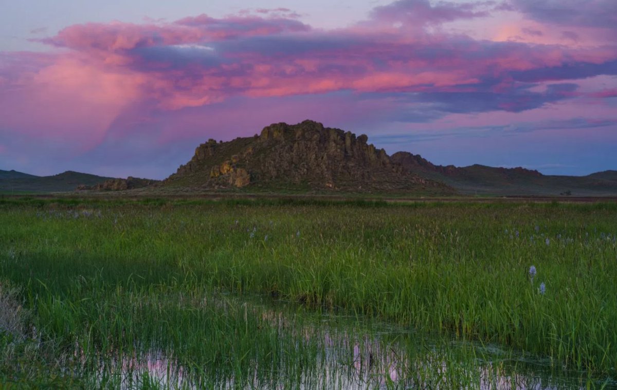 A Spring Day Exploring Idaho’s Beautiful Camas Prairie - <a href="/ResourceTravel/">Resource Travel</a> ow.ly/9Blg30cAJRj