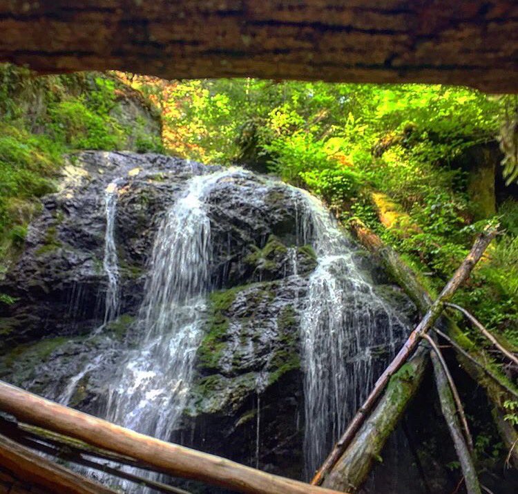 PhotogGriff's tweet photo. #MountConstitution #CascadeFalls #OrcasIsland #myweekend #hiking #OptOutside #adventure #travel #PNW #outdoors @KIRO7Seattle https://t.co/rP4x9rcebi