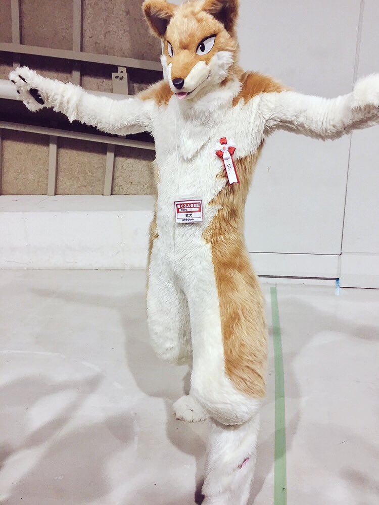 リオのアルバム (2ページ目) Togetter