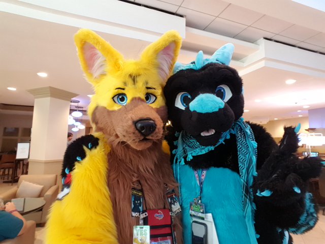 GWolfStories's tweet photo. #MCFC2017 Memories
Myself with...
Unknown Suiter
@SparkDalmatian
@chaycepup
@Sh00terTheFox https://t.co/J4qOgjbxqd