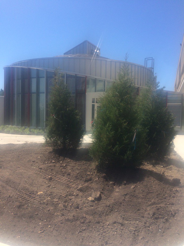 CSckopke's tweet photo. Looks great! Les arbres sont beaux. #campusmod https://t.co/14womz3Pv5