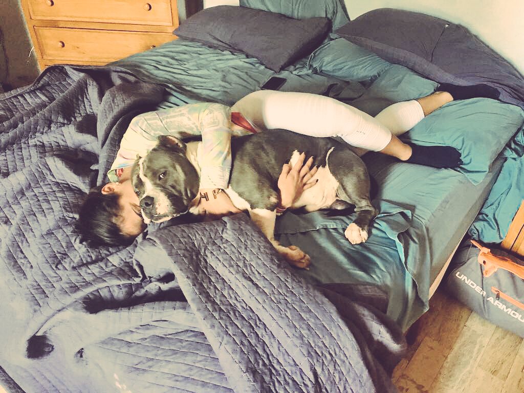 wellness_mev's tweet photo. El consentido de casa❤️🐷 #mev #FelizMiercoles #elBebeDePapi #love #dog https://t.co/lGZLsxvVqp