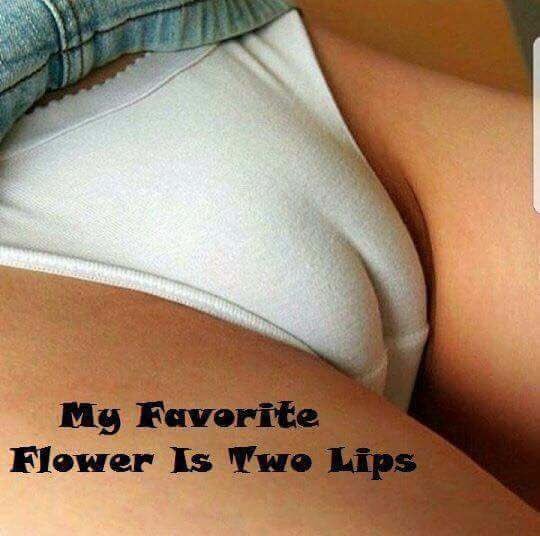 PlayboyBlogger tweet picture