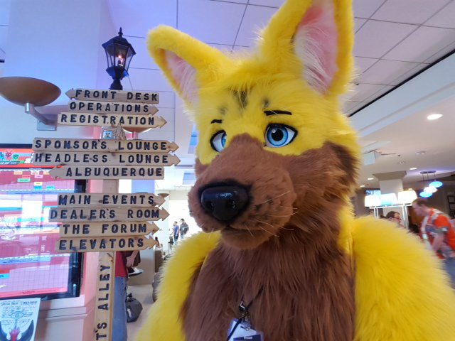 GWolfStories's tweet photo. #MCFC2017 Memories
Me https://t.co/ry1bhJ3Yip