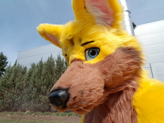 GWolfStories's tweet photo. #MCFC2017 Memories
Me https://t.co/ry1bhJ3Yip
