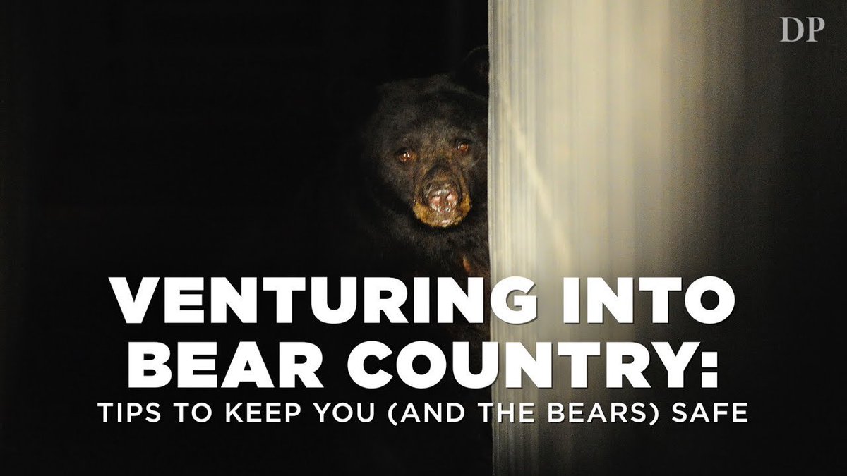 ClipTrends's tweet photo. Venturing into Bear Country: #Tips to ... - #ClipTrends #VideoTrends #Ne #Camping #Dpent #Food #Hiking #Storage https://t.co/vA1I66drnq https://t.co/CqRPwcXCk4
