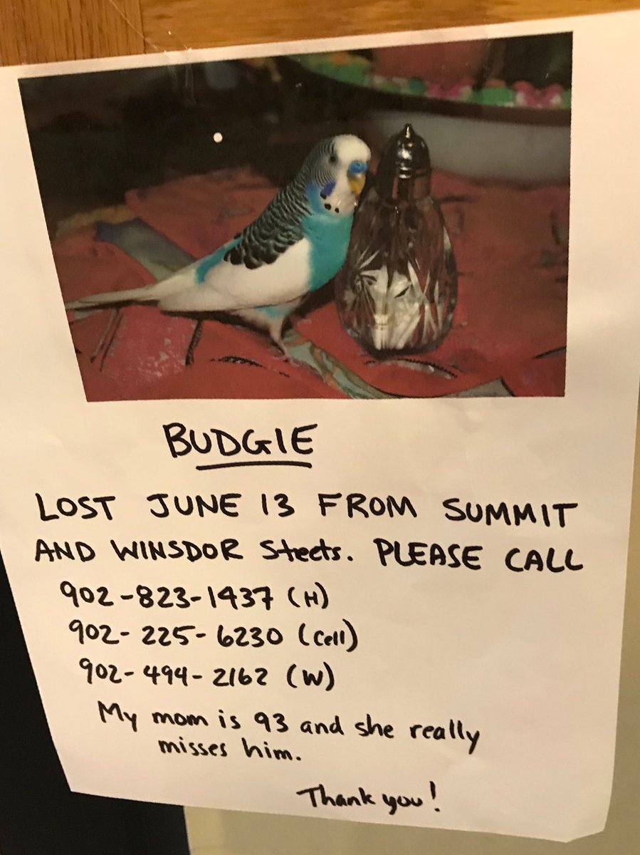 RT for Budgie Mom. 
Jesus. 🙁