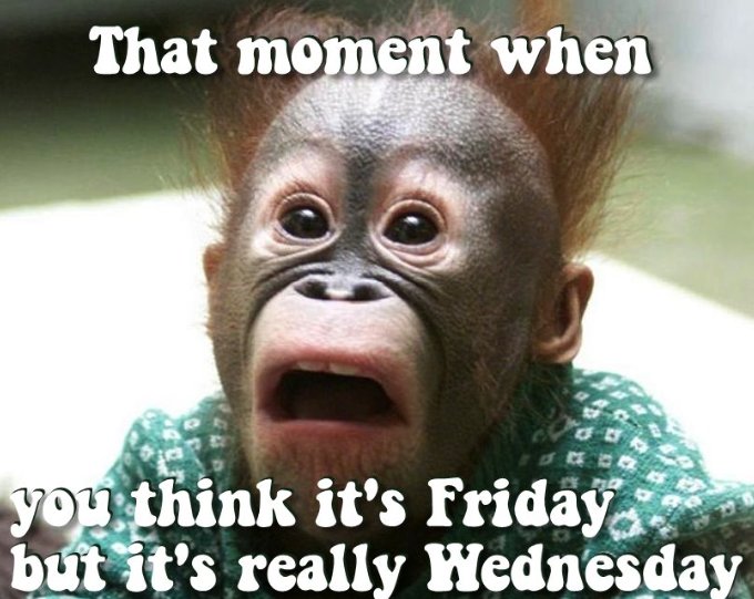This was totally me today #itsbeenalongweek #scs2846