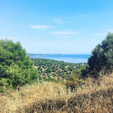 Fox__Comms's tweet photo. Views for days... @MiraggioThermal Resort #FoxPRTravel #FoxPRWellness #WellnessPressTrip https://t.co/XeCyaqQ6it