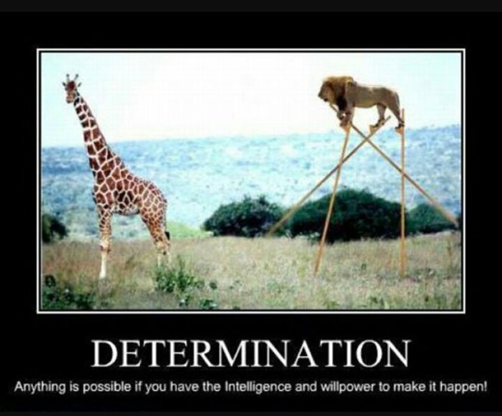 Mel_OR81's tweet photo. Good morning @ESparkGlobal #Edinburgh #Portsmouth #GoDoLife #GoDoPortsmouth #Determination #GoDo https://t.co/lZaR89Y8bu
