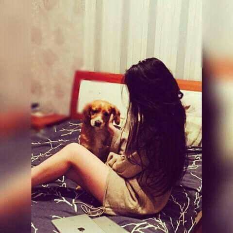 Namuun (@hurlbatmn) on Twitter photo 