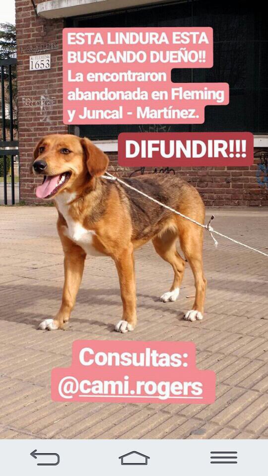 rimadda_'s tweet photo. EL QUE QUIERA RETWITTEAR RE PIOLA https://t.co/W66zHngLWr