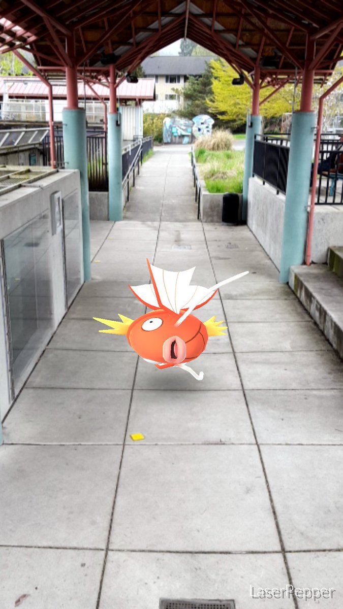 issaquahfish's tweet photo. We've got a live one! #PokemonGO #Issyfish https://t.co/VCx1RqARDl