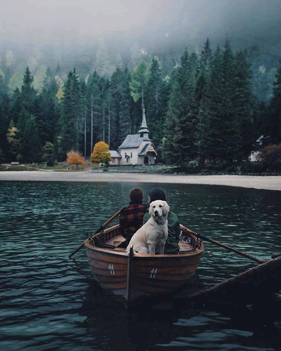Wander_photos's tweet photo. Sometimes it's not about where you're going, but how you get there https://t.co/uK2Shzh3tC
