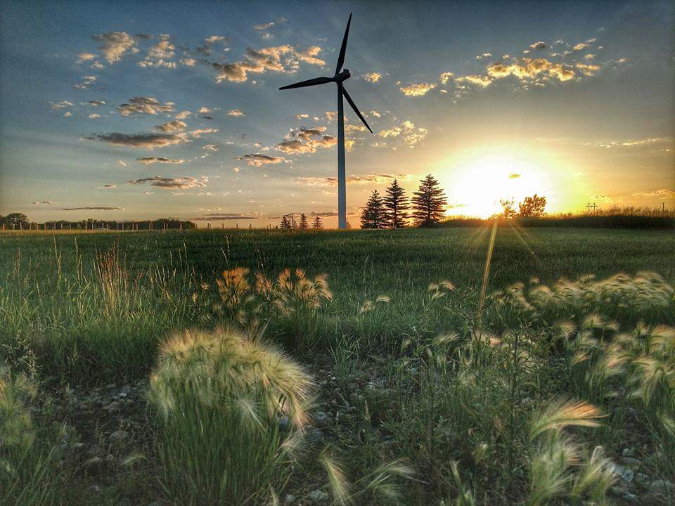 Photoriet's tweet photo. #500px #500pxtrg #weare500px #PhotoRTs #PhotoRTGroup #ThePhotoHour #photographyart
#windturbines #sunset #RenewableEnergy https://t.co/c9DTvykKFx