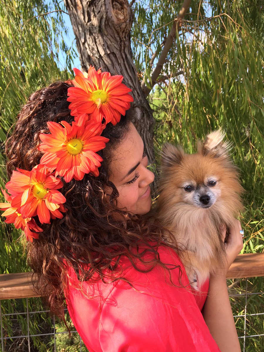 SheSpokeTexas's tweet photo. @TweetLikeAGirI From a Puppo to a Dogger😭❤ my little Roxy💛💛💛 https://t.co/vxFwOV003J