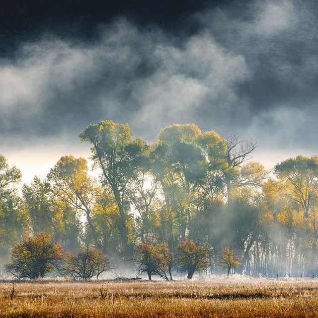 pnw_exploring's tweet photo. 👏👏Nature. Cheaper than therapy😎😎         packtography https://t.co/1zalftUgge