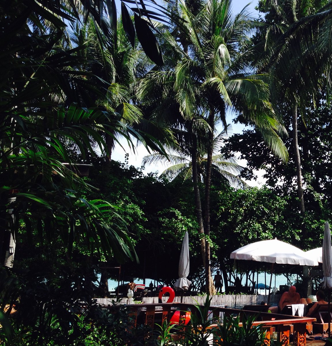 SamuiChaweng's tweet photo. welcome to Chaweng Garden beach resort ,55% discount onJune 2017 #bookings #beachfront #beach #samui #beach #chawengbeach #hotels https://t.co/QWkaapVwh8
