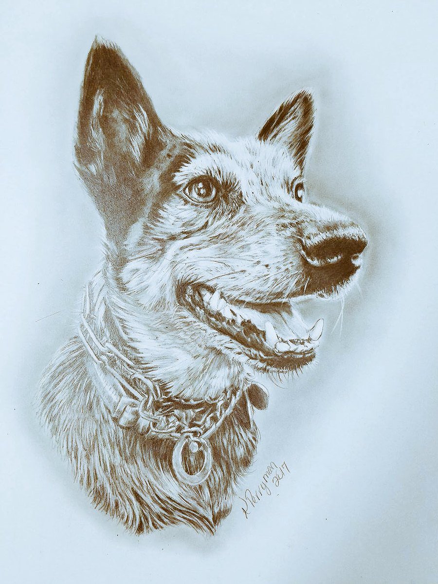 DrawingWithK's tweet photo. Basically done drawing Brody!! Still have to touch some stuff up, but that's pretty much it! :) #art https://t.co/Bv2LXKjpWA