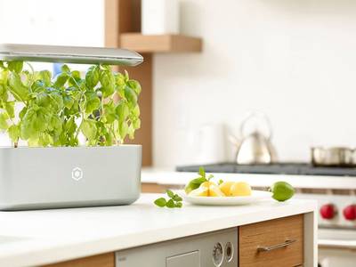 Urbanleaf_Coop's tweet photo. Go ahead and AVA Byte of fresh produce from this countertop garden  #Organic https://t.co/EqMt4krAAu https://t.co/UwRd9LFXZ1