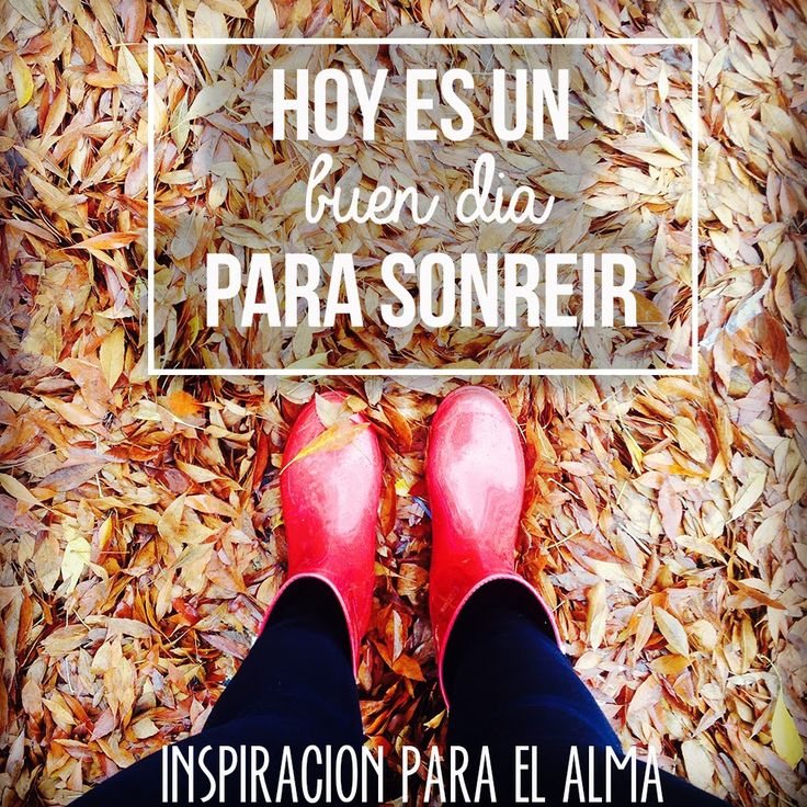 conargan's tweet photo. Buen día para tod@s :) 
@conargan https://t.co/5E6obrhVzD